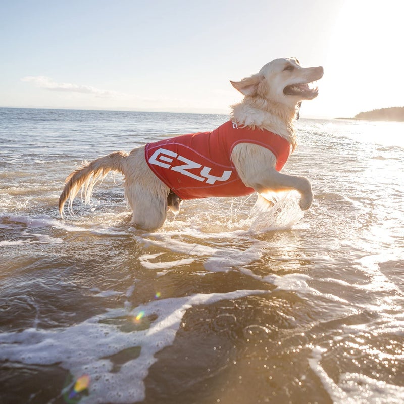 EzyDog Rashguard Vest - Premium Dog Shirt Allowing All-Day Water Use - Tested to Provide 50+ UV Protection - Innovative Design for a Snug, Comfortable Fit (Medium, Red) - Image 3
